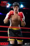 Rocky-2-Rocky-Boxer-DLX-1-6-Figure-04