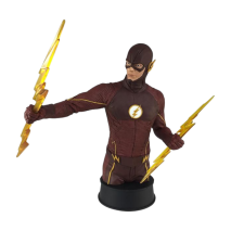 The Flash (TV) - Flash Bust