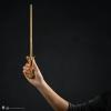 Harry-Potter-Lord-Voldemort-Essential-PVC-Wand-Collection-03
