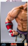 Tekken-5-Jin-Kazama-19-StatueC