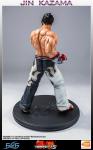 Tekken-5-Jin-Kazama-19-StatueE