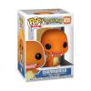 Pokemon-Charmander-POP-GLAM-02