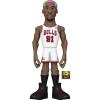 NBA-Legends-Bulls-Dennis-Rodman-5-Vinyl-GoldB