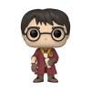 _HarryPotter_HarryPotter_POP_GLAM-WEB