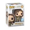 Harry-Potter-Sirius-wWormtail-POP-GLAM-RS-03
