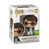 Harry-Potter-Harry-Potter-SDCC-2024-Pop-Vinyl-RS-03