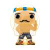 LFFUNKOPOP_LPP-WWE_TheIronSheik_43_GLAM-WEB