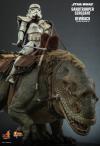 StarWars-SandtrooperSergeant-Dewback-Set-05