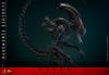 Alien-Romulus-Scorched-Xenomorph-Figure-08