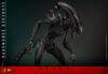 Alien-Romulus-Scorched-Xenomorph-Figure-09