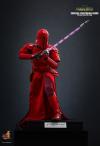 Star-Wars-Imperial-Guard-02