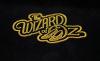 Wizard-of-Oz-Courage-Medal-Replica-011