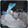 How-To-Train-Your-Dragon-Toothless-Statue-Square-011