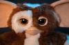 Dancing-Gizmo-Plush-003