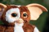 Dancing-Gizmo-Plush-009