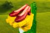 WoOz-Ruby-Slipper-LO-Stand-13