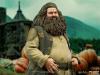 Harry-Potter-Hagrid-StatueA