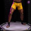 UFC-Anderson-Silva-Statue-12