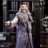 HarryPotter-AlbusDumbledore-DLX-08