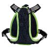 Beetlejuice-Dog-Harness-M-02
