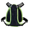 Beetlejuice-Dog-Harness-S-02