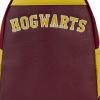 Harry-Potter-Gryffindor-Varsity-Mini-Backpack-04