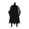 Batman-Animated-Hardac-6-Figure-04