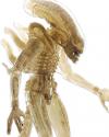 Alien-Translucent-Prototype-Suit-1-4-Scale-FigureA