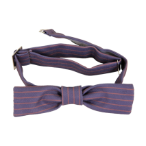 Fantastic Beasts and Where to Find Them - Newt Scamander Bow Tie