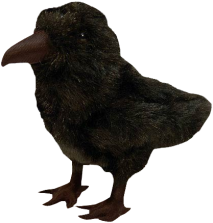 A Game of Thrones - 3 Eyed Raven Plush