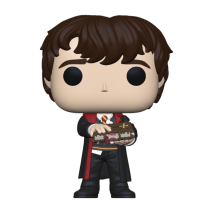 Harry Potter - Nevill with Monster Book Pop! Vinyl