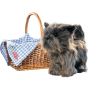 The Wizard of Oz - Toto & Basket Replica Set