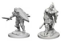 Dungeons & Dragons - Nolzur's Marvelous Unpainted Minis: Human Male Paladin