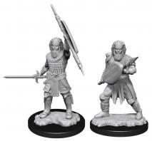 Dungeons & Dragons - Nolzur's Marvelous Unpainted Minis: Human Fighter Male