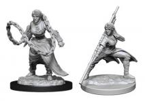 Dungeons & Dragons - Nolzur's Marvelous Unpainted Miniatures: Human Monk Male