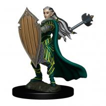 Dungeons & Dragons - Premium Elf Paladin Female Miniature