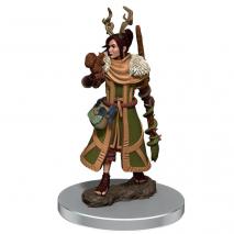 Dungeons & Dragons - Icons of the Realms Premium Female Human Druid